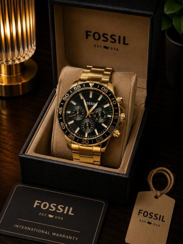 Fossil  BQ2493